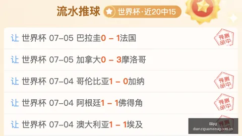 电子 ，电子pg，101045