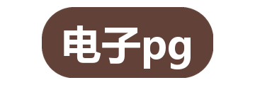 电子pg